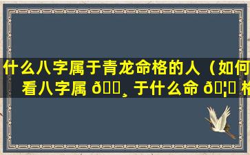 什么八字属于青龙命格的人（如何看八字属 🌸 于什么命 🦊 格）